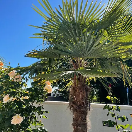 Apartament Vanessa *