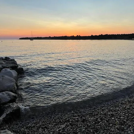 Vanessa Πόρετς